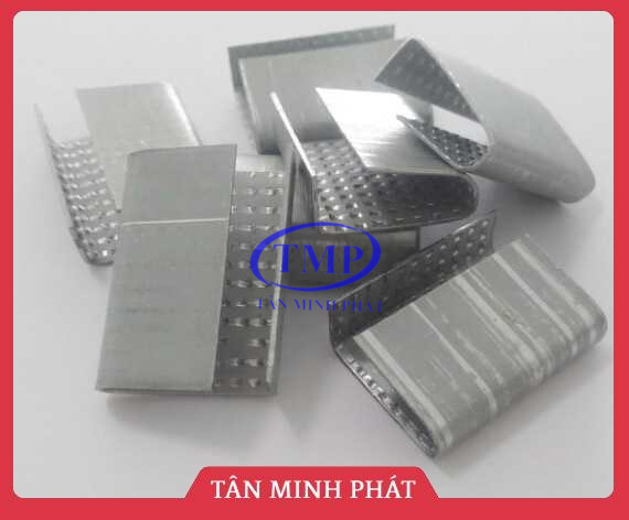 Bọ sắt gai